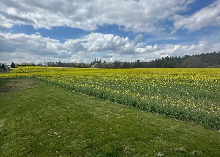 Hof Schoeneck In Sehr Ruhiger Alleinlage