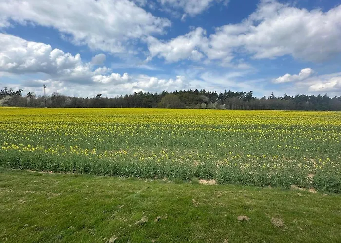 Dom wakacyjny Hof Schoeneck In Sehr Ruhiger Alleinlage Gondershausen